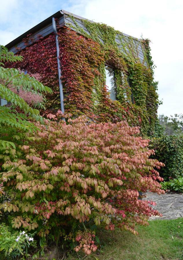 Jardin De Belle Vue Hotel Quimperle Luaran gambar